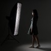 Godox SB-FW35x160cm Honeycomb Grid Softbox with Bowens Mount Studio Strobe