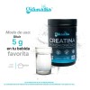 Creatina Monohidratada 100% Pura 500 G 100 Serv Granalia Lif