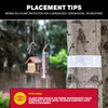 Catchmaster Tree Shield Lantern Fly & Ant Traps Insect Barrier,