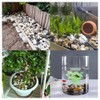 Natural River Rocks & Pebbles for Landscaping, Gardens, Aquariums &