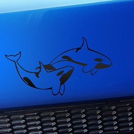 Artistic Reflection Orcas - Killer Whales - Vinyl Car Decal - Choose Color - [Matte Black]