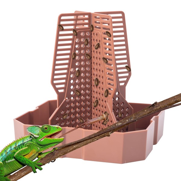 Reptile Feeder Bowls with Climbing Ladder for Chameleon,Bearded Dragon,Guardians Hunting