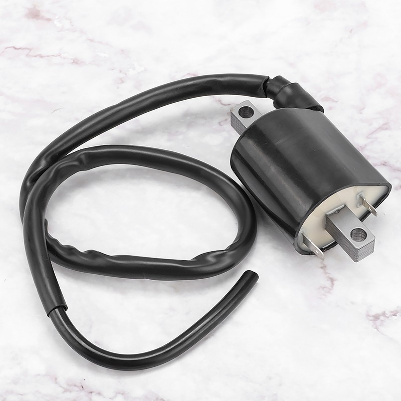 Large Displacement 2 Pins Ignition Coil for Yamaha Cart G2