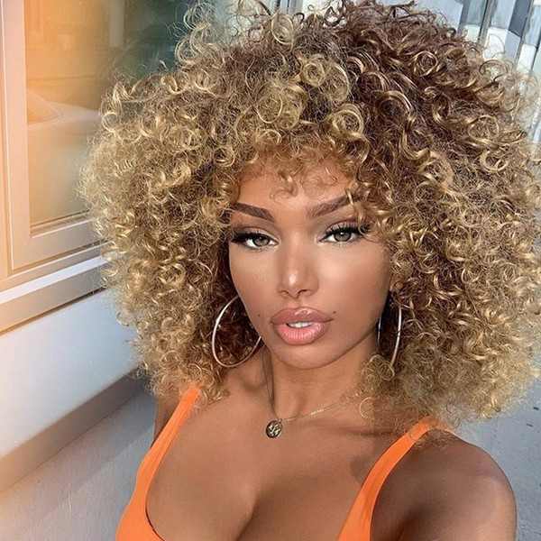 Xinran 14 inch Blonde Curly Wigs 70s, Kinky Brown Mixd Blonde Afro Wigs for Black Women, Synthetic Afro Curly Blonde Wigs for Women (Brown to Blonde)