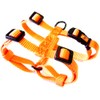 Hamilton Adjustable Comfort Nylon Dog Harness, Mango Orange, 3/8" x