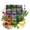 Medicinal Tea Seeds Collection - 9 Non-GMO Heirloom Herbs to