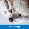 Kosmetex 250 x Mix Ear Cleaning for Dogs, Wide Cotton