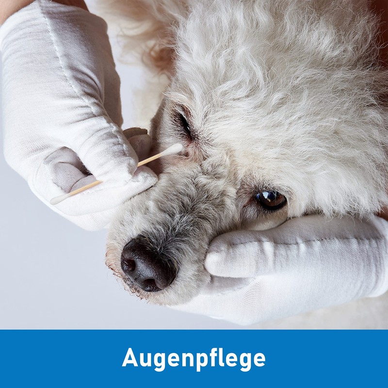 Kosmetex 250 x Mix Ear Cleaning for Dogs, Wide Cotton