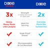 Dixie Paper Plates, Large 10 Inch | 2X Stronger |