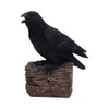 Nemesis Now Ravens Cry Figurine – Motion-Activated Black Raven on