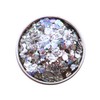 Holographic Glitter, Biodegradable Glitter for Your Face and Body; 6
