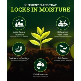 FoxFarm Ocean Forest Potting Soil, 12qt – Light, Aerated Texture, Designed for All Container Plants – pH Adjusted for Optimal Nutrient Uptake, Effectively Retains Moisture (12 Quart (1 Pack))