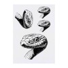 4 x 'Snake Portrait' Temporary Tattoos - Water Resistant, Skin-Safe,