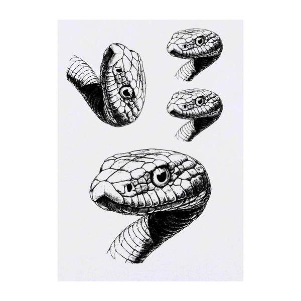 4 x 'Snake Portrait' Temporary Tattoos - Water Resistant, Skin-Safe,