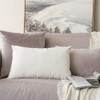 MIULEE Pack of 2 Velvet Pillow Covers Decorative Square Pillowcase