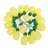 9.8ft 20LEDs Fruit String Lights Battery Operated String Lights for