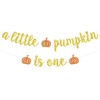 Our Little Pumpkin is One Banner, Little Pumpkin First Birthday