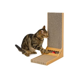Premium Corrugated Cardboard Cat Scratcher & Perch – Dual-Level Scratch Station for Indoor Cats, Eco-Friendly, Durable & Space-Saving Play Furniture