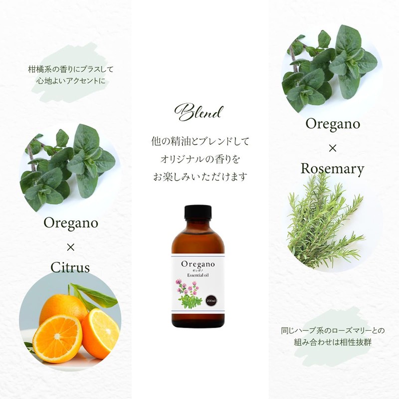 Natural 100% Oregano Oil 00ml Essential Oil Aroma Oil