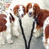 Double Lead for 2 Dogs, Reflective Dog Lead for Two