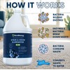 Eco Strong Pet Stain and Odor Remover - Cat Urine