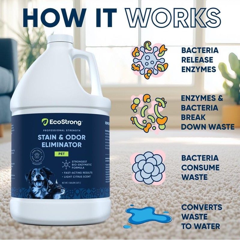 Eco Strong Pet Stain and Odor Remover - Cat Urine
