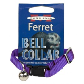 Marshall Pet Products Ferret Bell Collar Purple