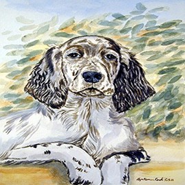 Caroline's Treasures 7065CHF English Setter Flag Canvas House Size, Large, Multicolor