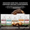 Real Mushroom Reishi Mushroom Powder for Longevity (45 Servings) Vegan,
