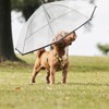 ZEFOXETO Pet Dog Transparent Umbrella, Clear Folding Adjustable Leash, Keeps