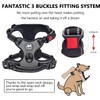 PoyPet No Pull Dog Harness with Neck Release Buckle, Reflective