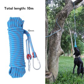 dogmoon Professional Climbing Rope, 10mmx10m Rappelling Abseiling Rope, Static Climbing Rope With Two Carabiners, Multifunctional Cord Safety Rope Climbing Rope for Escape Camping Hiking(Blue)