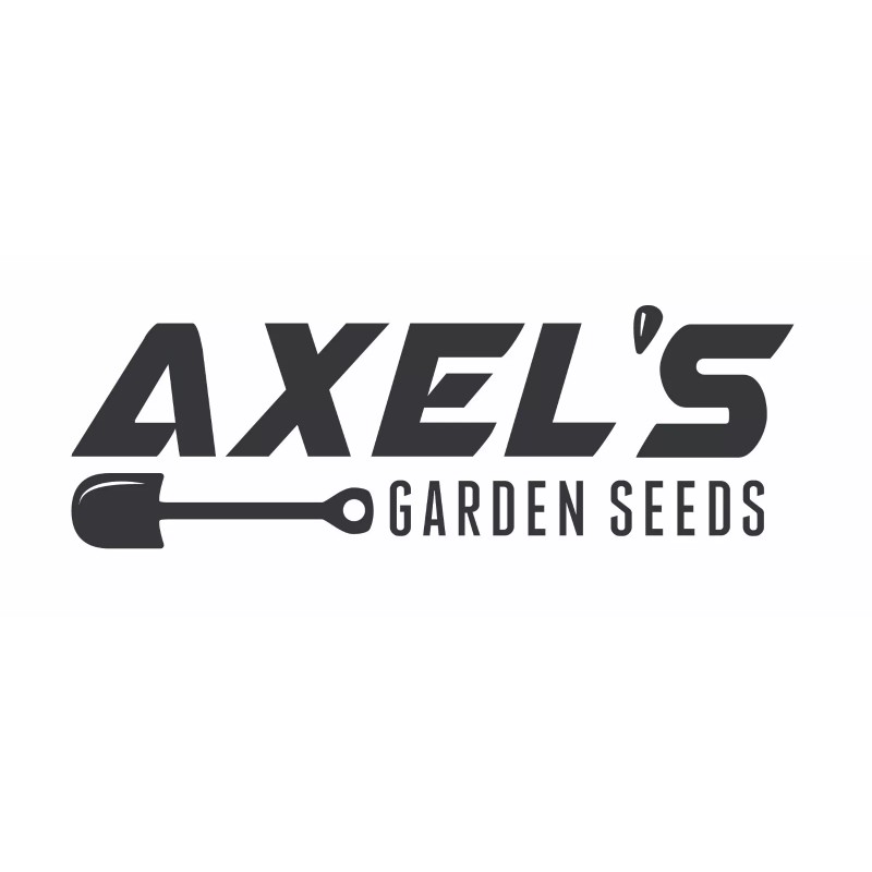 Axel's Garden Seeds Lemon Mint Seeds | Non-GMO | Heirloom