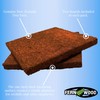 Fernwood Tree Fern Orchid Mounting Board- Soft, Durable, and Fibrous