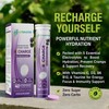 Electrolytes Hydration Tablets | 40 Effervescent Rehydration Tablets (Blackcurrant) |