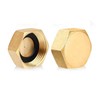 Brass Blanking Caps, Pack of 2 Durable Hex Brass Female