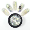 Mesiyun Nail Art 3D Holographic Chunky Glitter Fakes 6colors