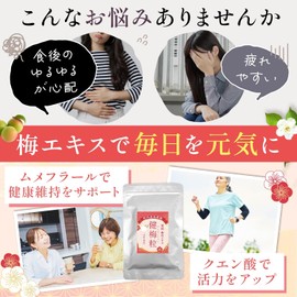 Supervised by a registered dietitian, Ume flesh extract, Ume extract, granules, Kenbai granules, salt-free, produced in Wakayama Prefecture, easy-to-swallow granule type, supplement, approximately 400 granules, 2-month supply, 100g (1 bag)