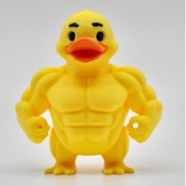 Muscular Fitness Duck, Cruise Duck Hunting, Ducking, Get Ducked, Duck Duck Jeep