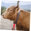 BESPORTBLE Bear Bells for Hiking Camping 2 Pack Multi-use Metal