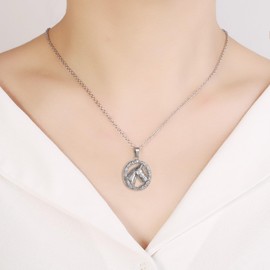 Horse Cremation Necklace For Ashes For Women Men Stainless Steel Pet Memorial Jewelry Holder Keepsake Urn Pendant With Gifts Box (Silver)