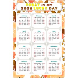 2026 Magnetic Calendar - Calendar Magnets - Today is my Lucky Day - (Fade, Tear, and Water Resistant) - Themed 022 (7 x 10.5)