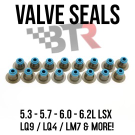 Brian Tooley Racing BTR LQ9 LQ4 6.0 5.3 4.8 Valve Seal Kit VS LS Hat Kit