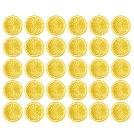 HAMILO Food Sample, Fruit, Lemon, Cut Round, Display, Set of 30