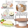 Wooden Cheese Press for Cheese Making Supplies Diameter 11 in