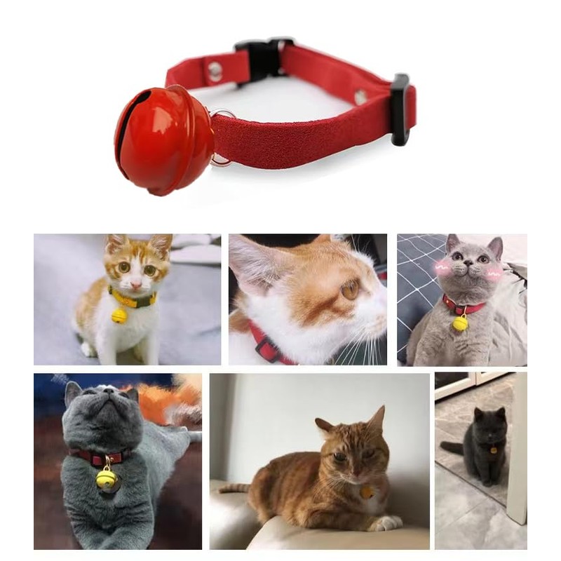 Cat Collar, Cat Collar, Includes Pet Collar, Kitten Collar, Includes