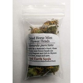 Red Earth Seeds - Horsemint Dried Flower Heads for Tea
