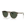 Vogue Eyewear Men's VO5599S Round Sunglasses, Yellow Havana/Dark Green Polarized,