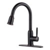 WOWOW Bronze Kitchen Faucet with Sprayer: 304 Stainless Steel Kitchen