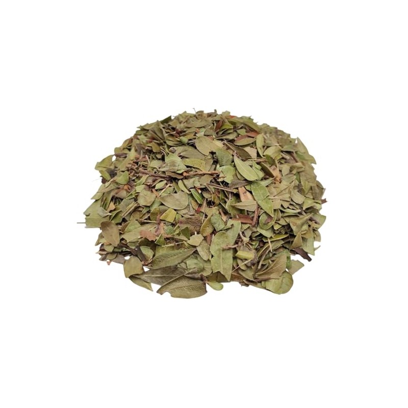 Dried Bearberry Leaves 85g - 1,95kg Arctostaphylos uva-ursi (85 grams)